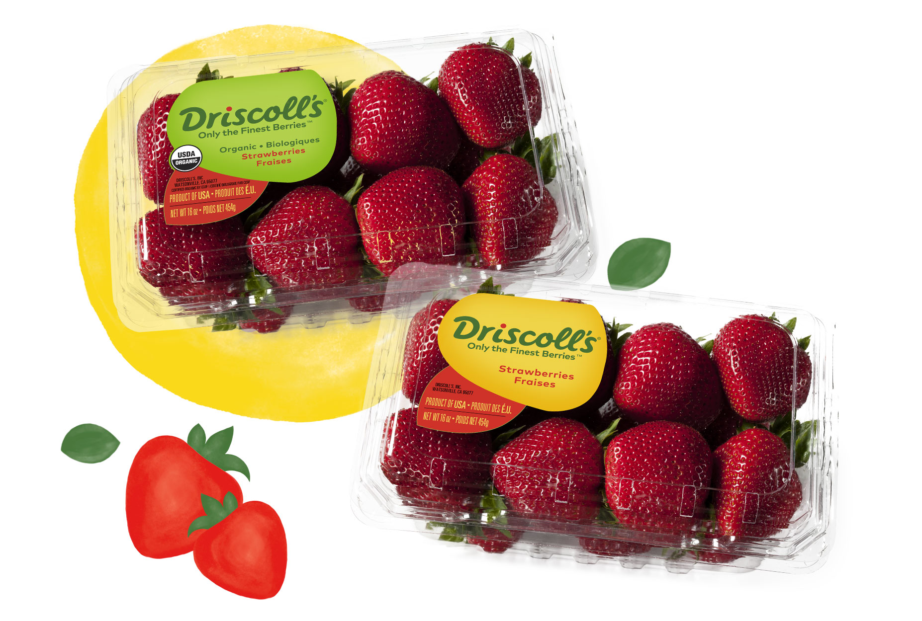 Driscolls Berries