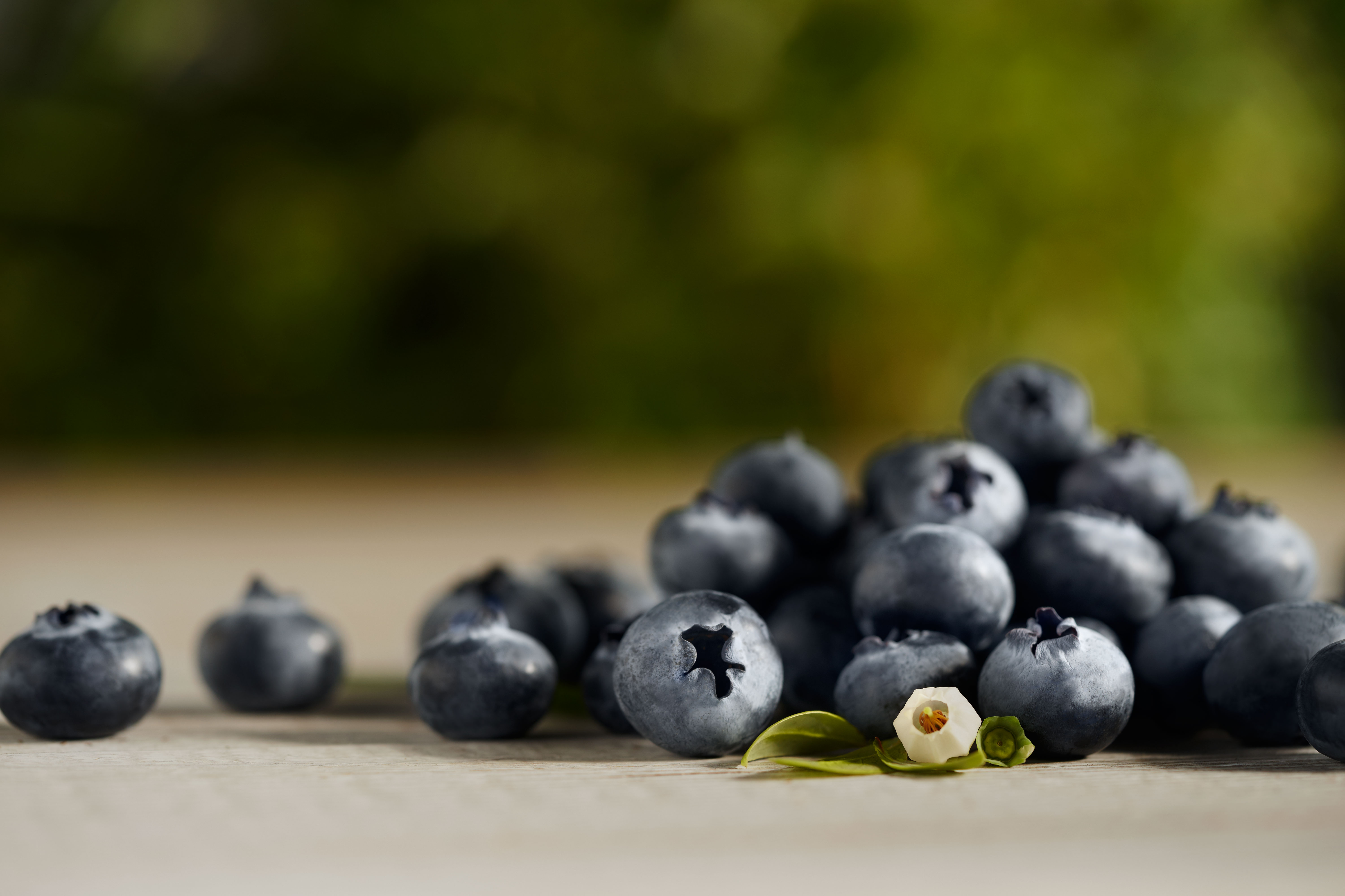 blueberries-organic-blueberries-driscoll-s