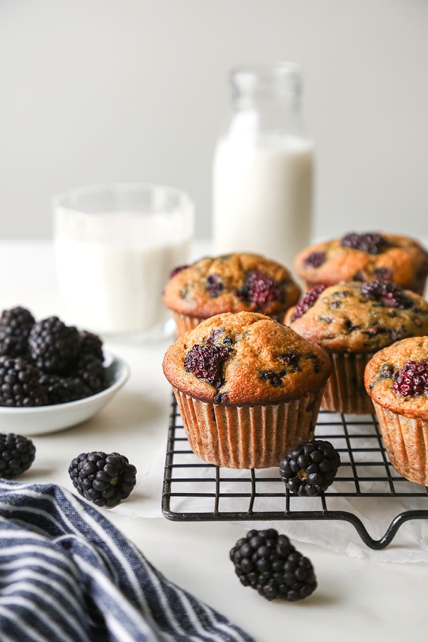 Blackberry Pumpkin Muffins