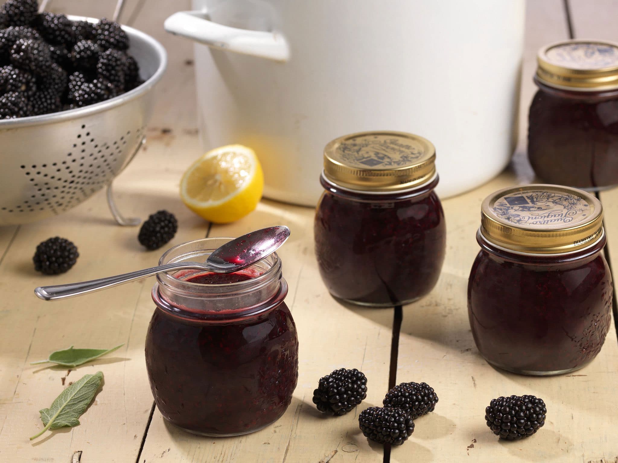 Blackberry-Jam_10183_CC_210724-item-v-399882689