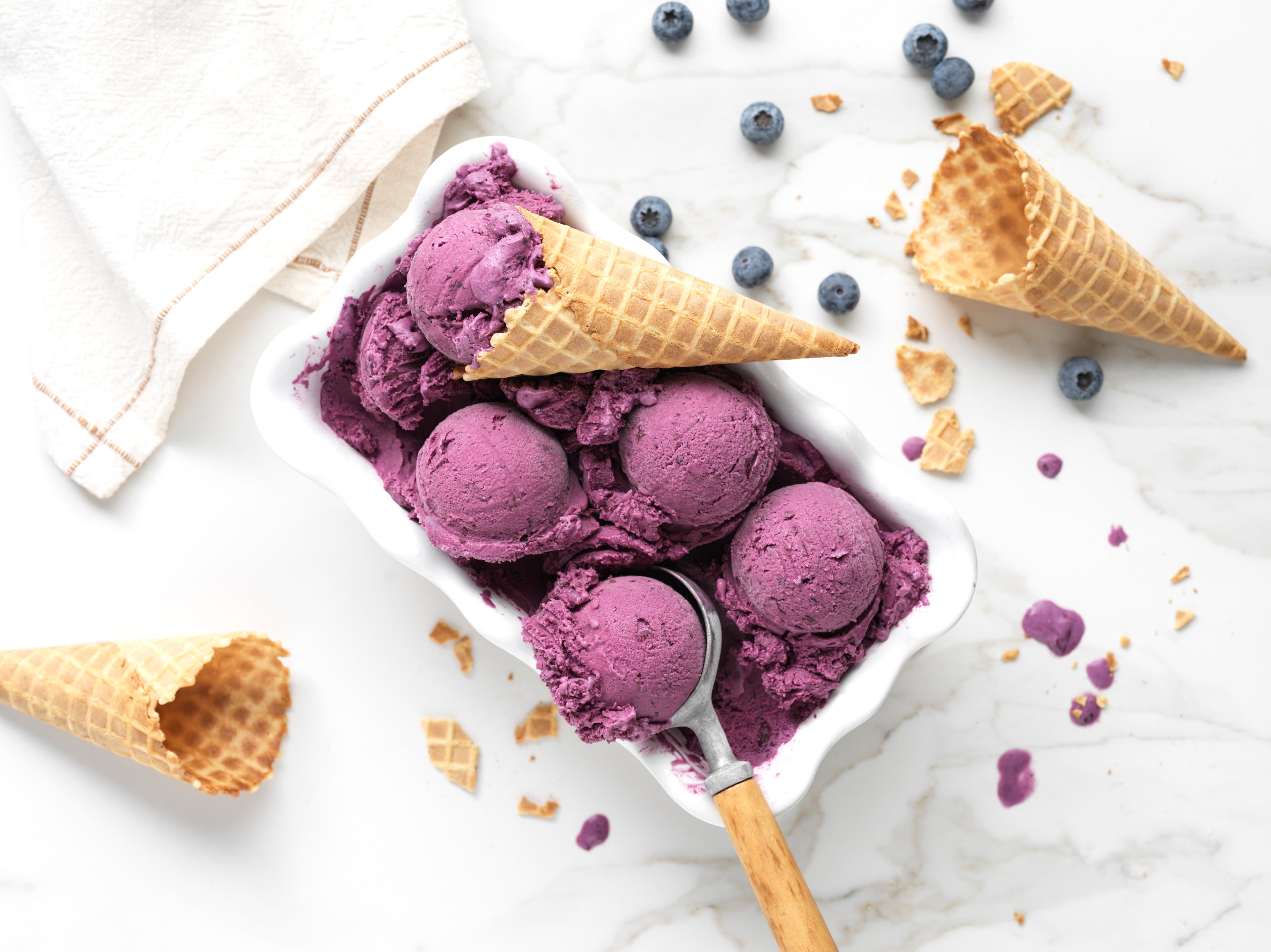 Classic Blueberry Ice Cream