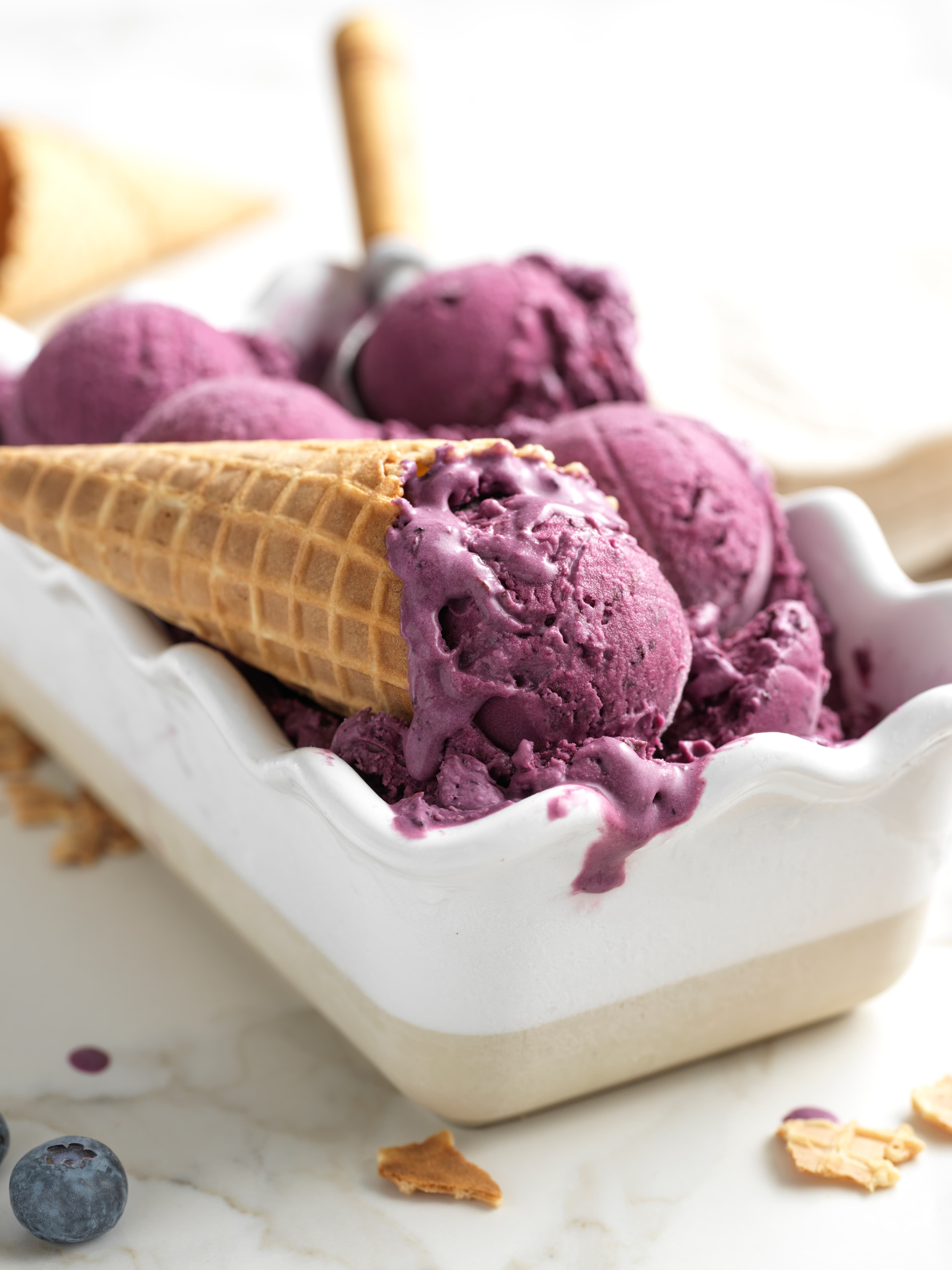 Classic Blueberry Ice Cream
