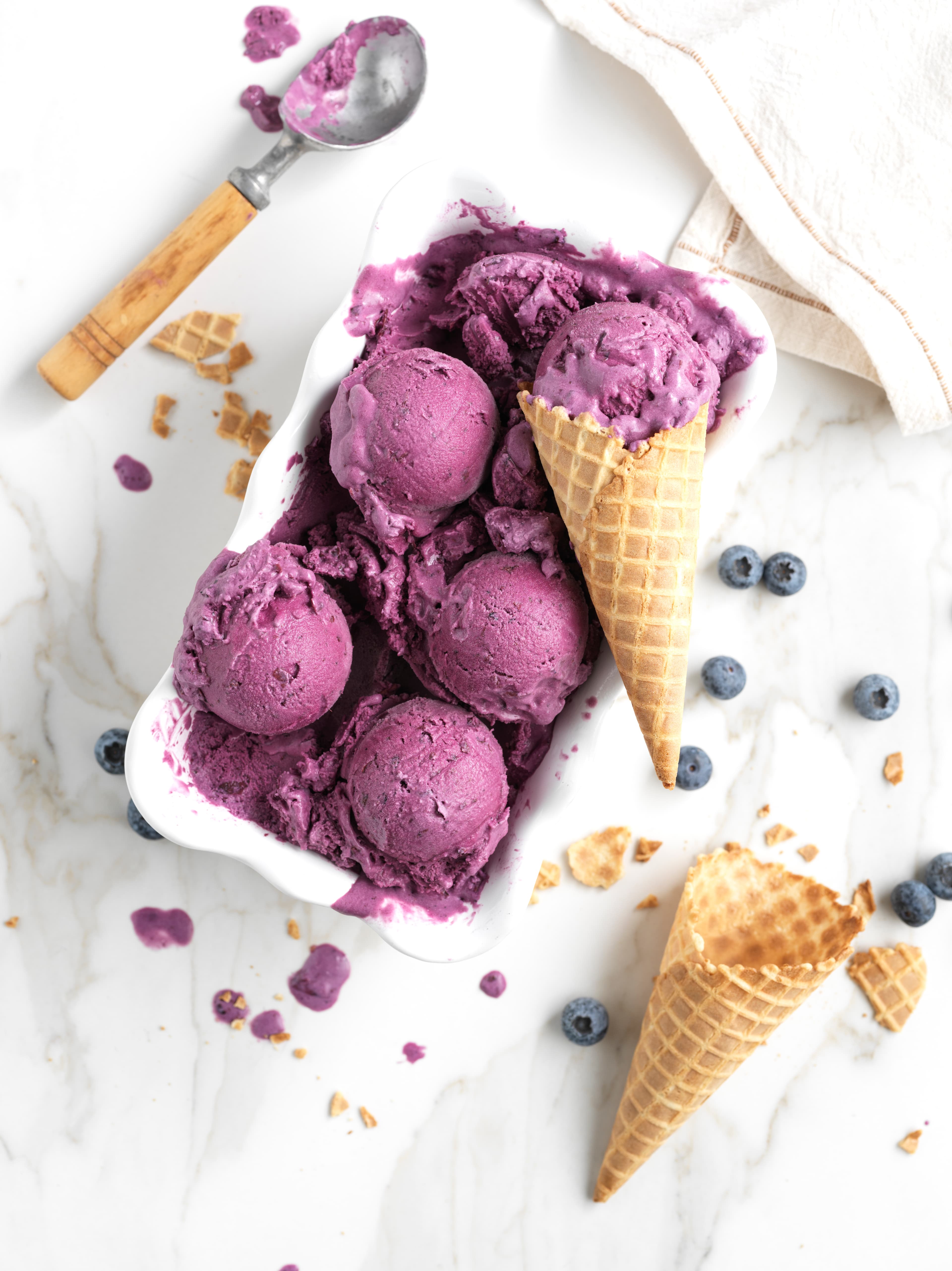 Classic Blueberry Ice Cream