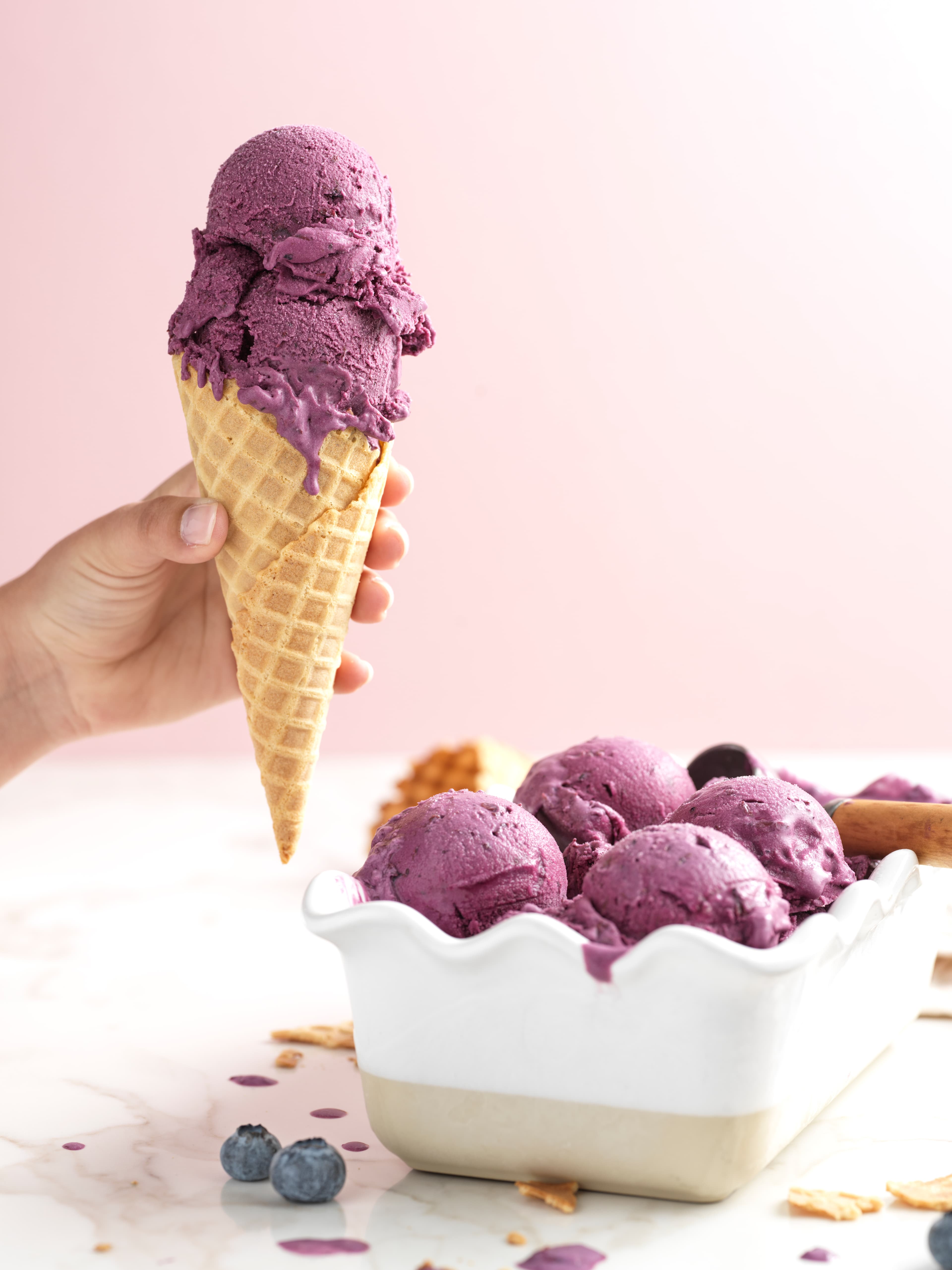 Classic Blueberry Ice Cream