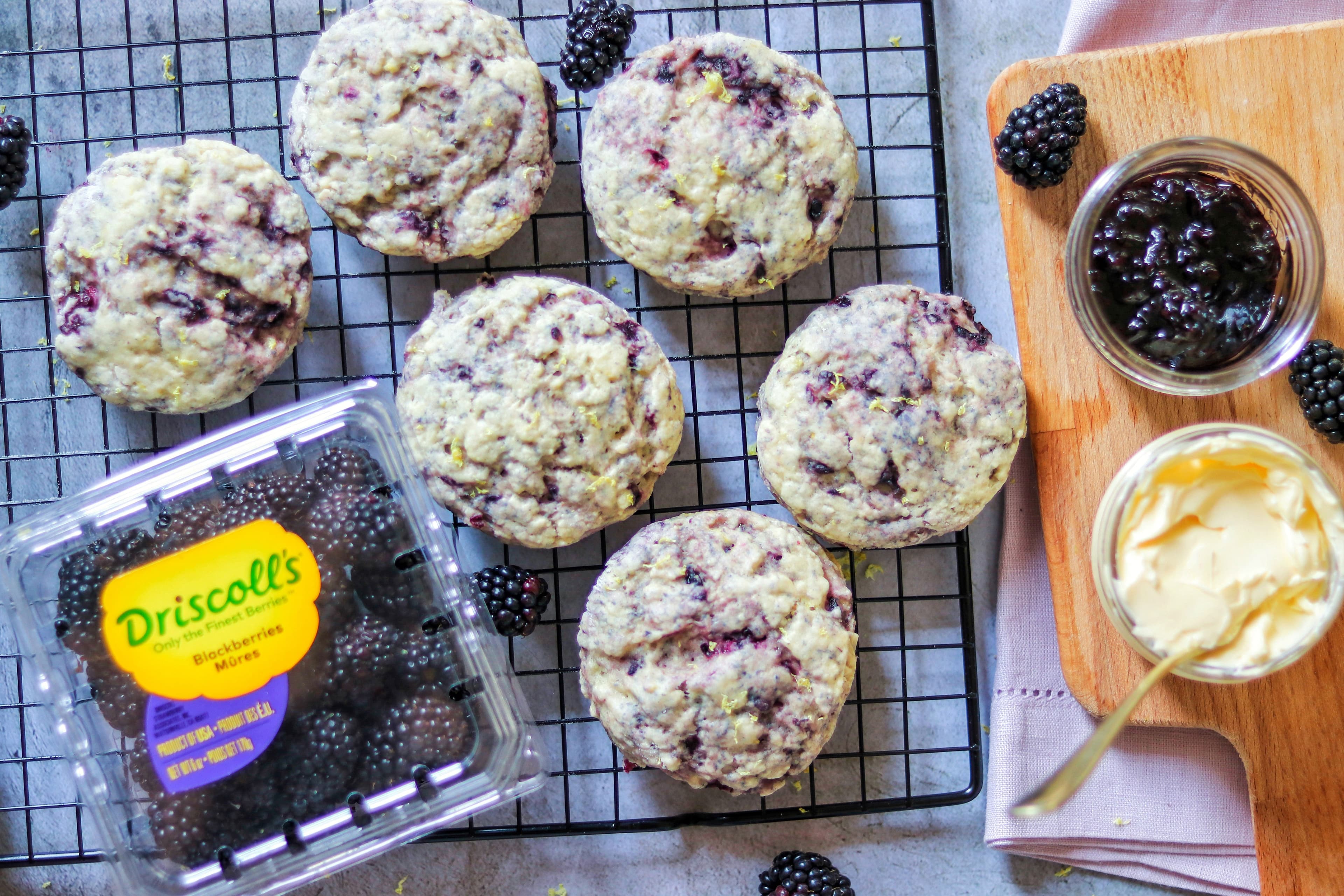 Fab-Everyday-August-2021---9-item-v-1870895525