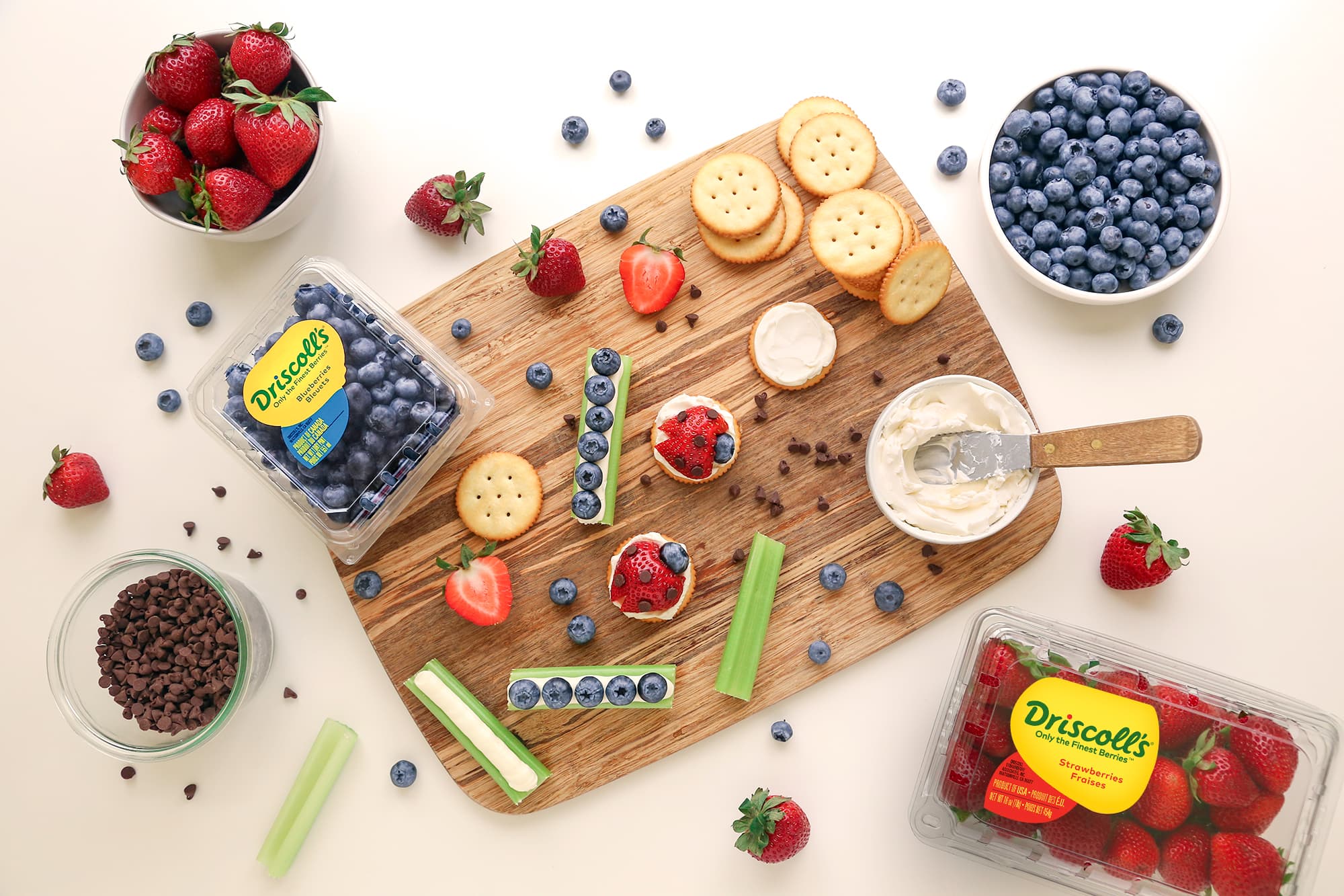 lady bug and ants on a log bento box