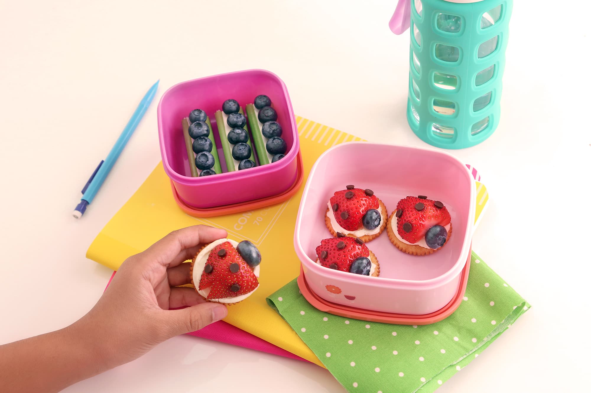 lady bug and ants on a log bento box