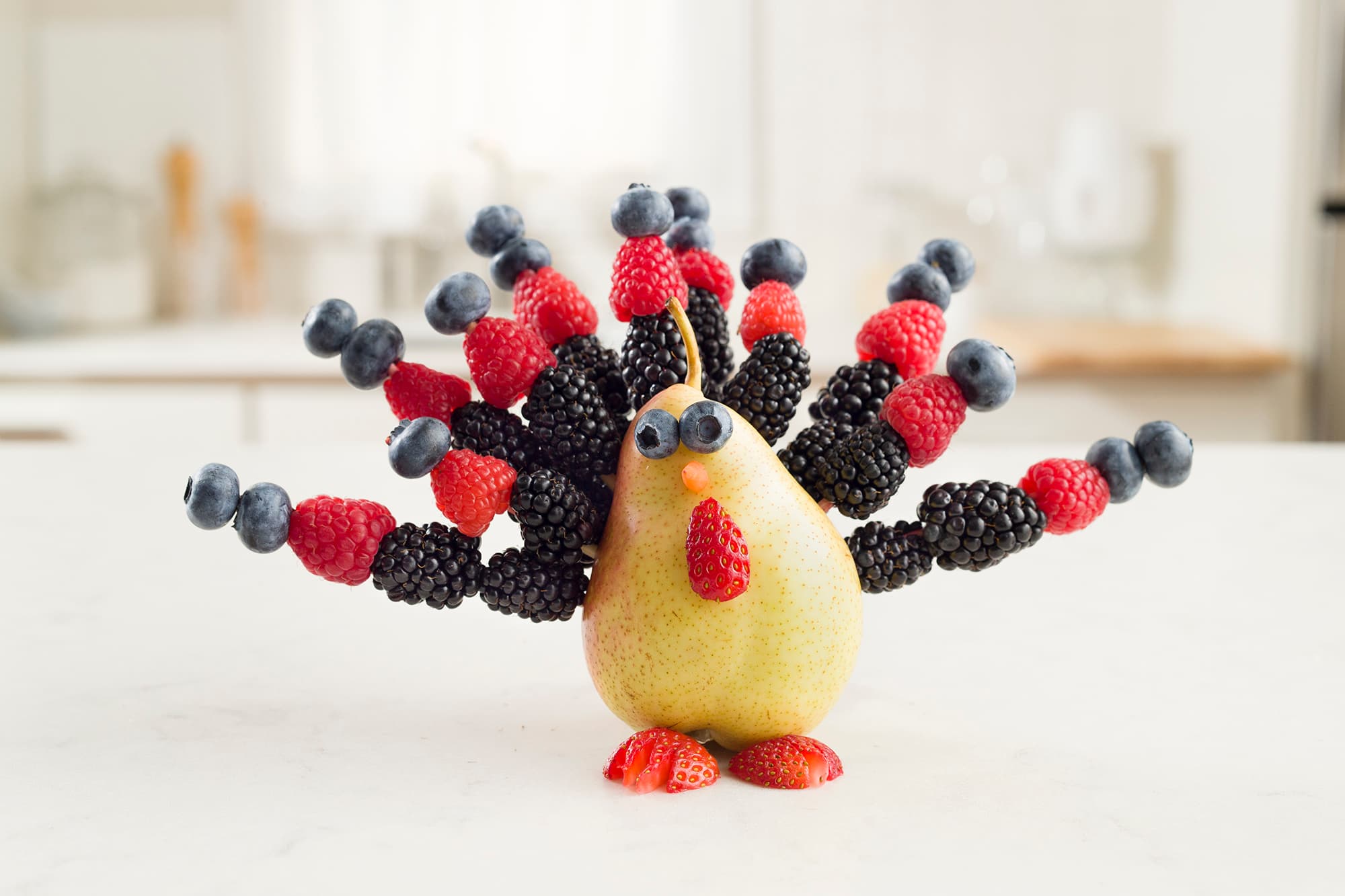 Berry Turkey