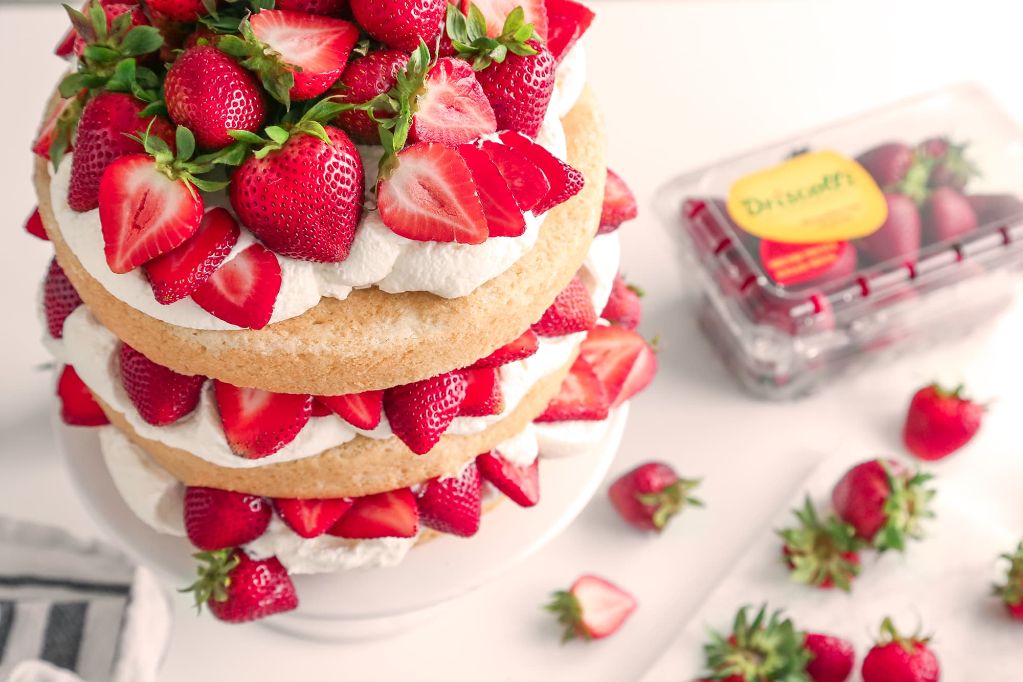 Classic Strawberry Shortcake